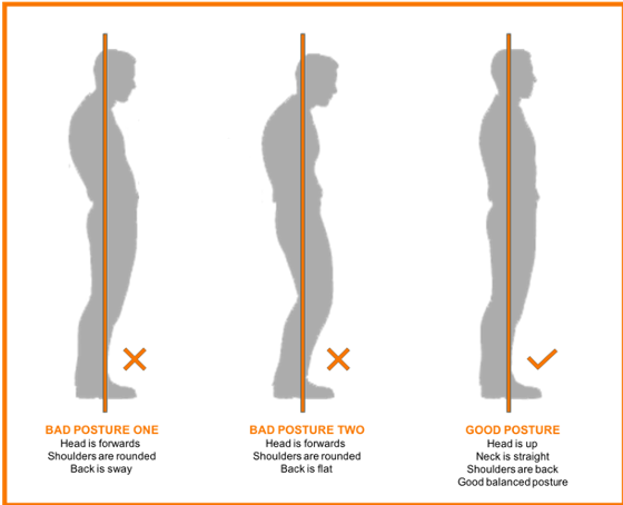 TwyfordCC Posture Diagram